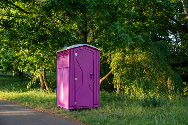 Portable Toilet Options We Offer in Laporte, CO